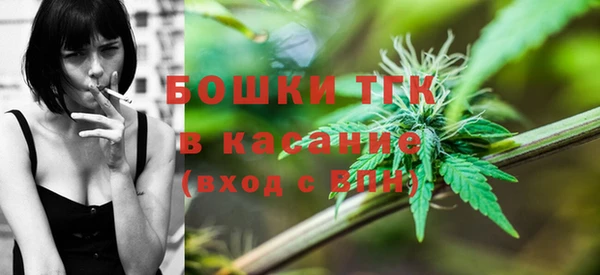 ПСИЛОЦИБИНОВЫЕ ГРИБЫ Белокуриха