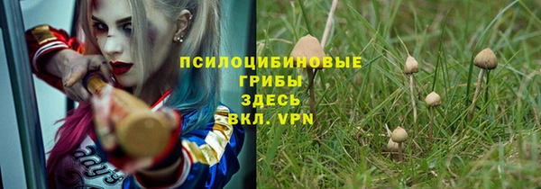 ПСИЛОЦИБИНОВЫЕ ГРИБЫ Белокуриха