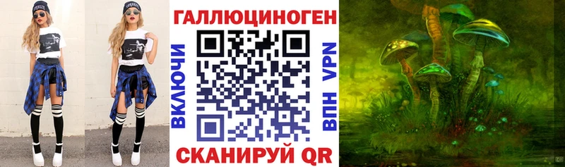 Псилоцибиновые грибы Psilocybe  купить наркотики сайты  Кизилюрт 